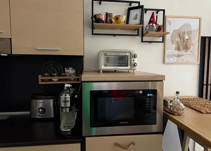 Luxury In Alpinе Free Appartement Bansko